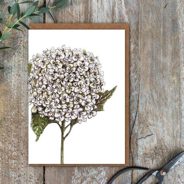 Pure Art Card / Annabelle Hydrangea