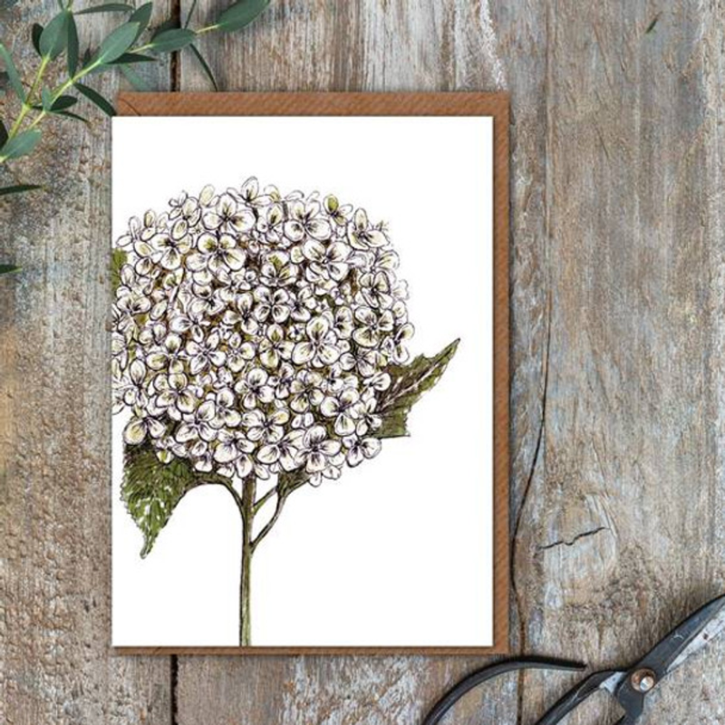 Pure Art Card / Annabelle Hydrangea