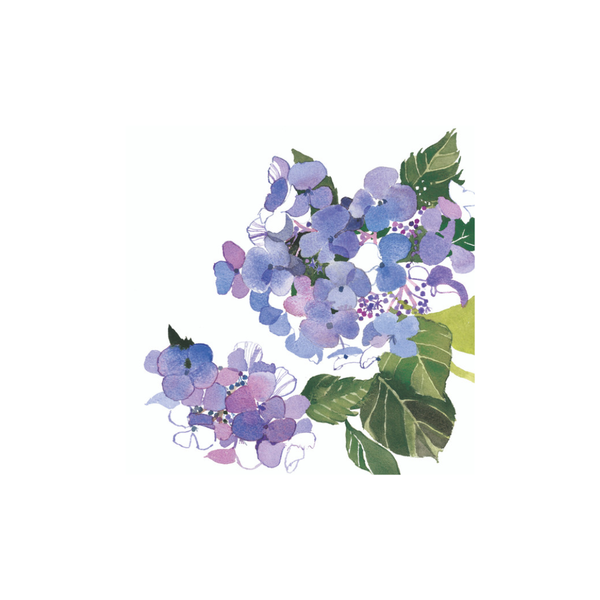 Jane Ormes Card / Blue Hydrangea