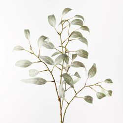 Eucalyptus Long Leaf Spray 94cm / Grey Green