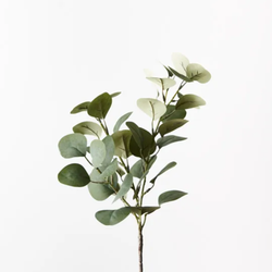 Eucalyptus Spray 40cm / Green Grey