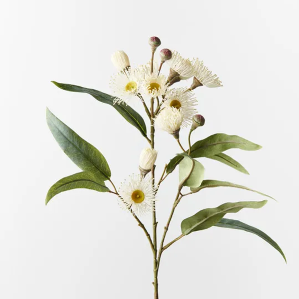 Eucalyptus Flowering Spray 76cm / White