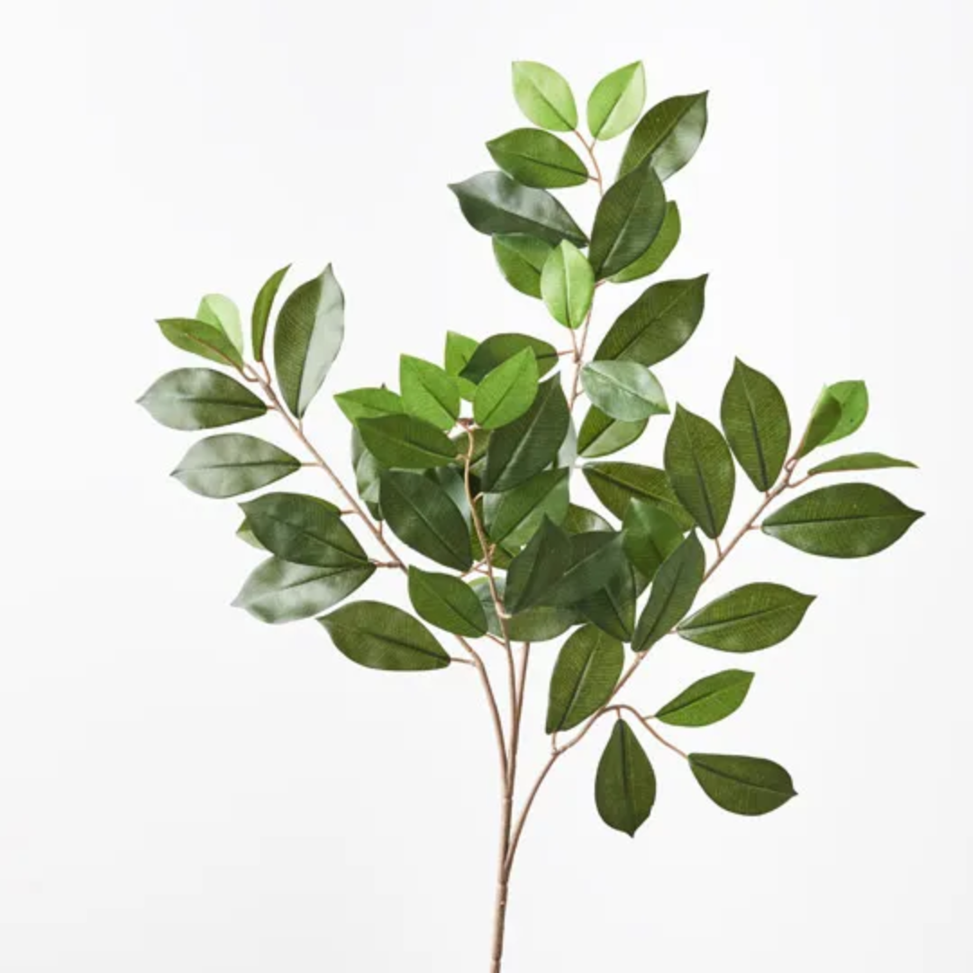 Ficus Retusa leaf Spray 64cm / Green – Home Goods Hardware