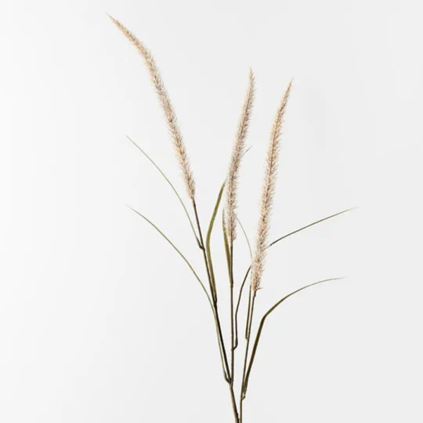 Fountain Grass Spray 130cm / Cream