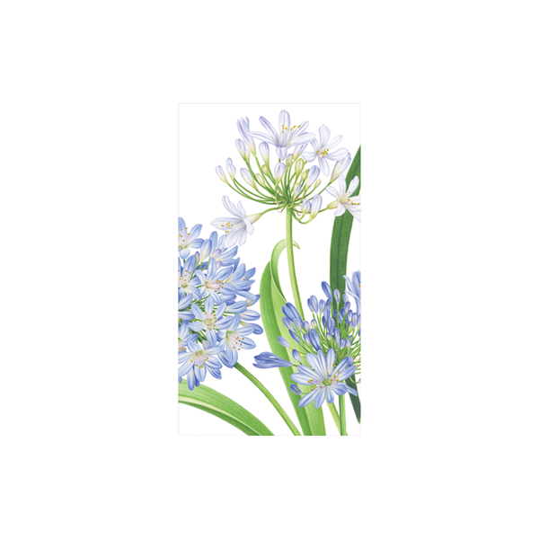 Guest Towel / RHS Agapanthus Garden