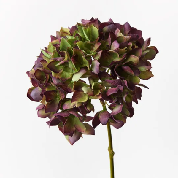 Hydrangea 47cm / Burgundy Green