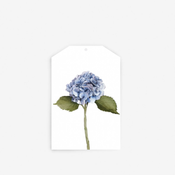 Gift Tag / Hydrangea