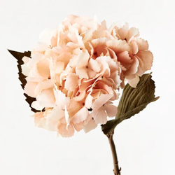 Hydrangea 43cm / Peach