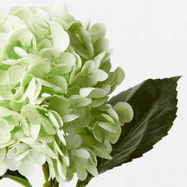 Hydrangea 49cm / Light Green