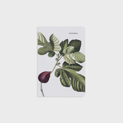 Stationery Notebook / Fig