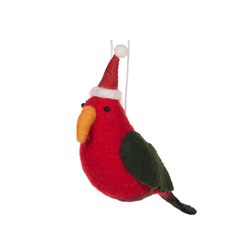 Parrot w Santa Hat