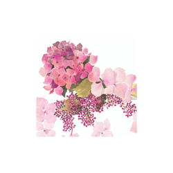 Jane Ormes Card / Pink Hydrangea