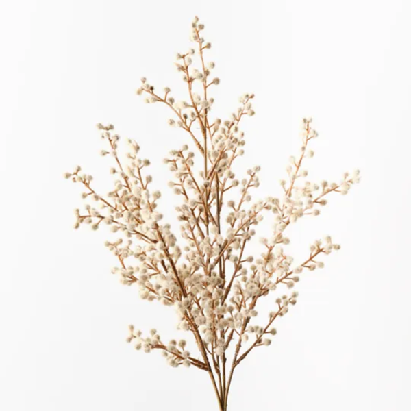 Wattle Bush 48cm / Natural