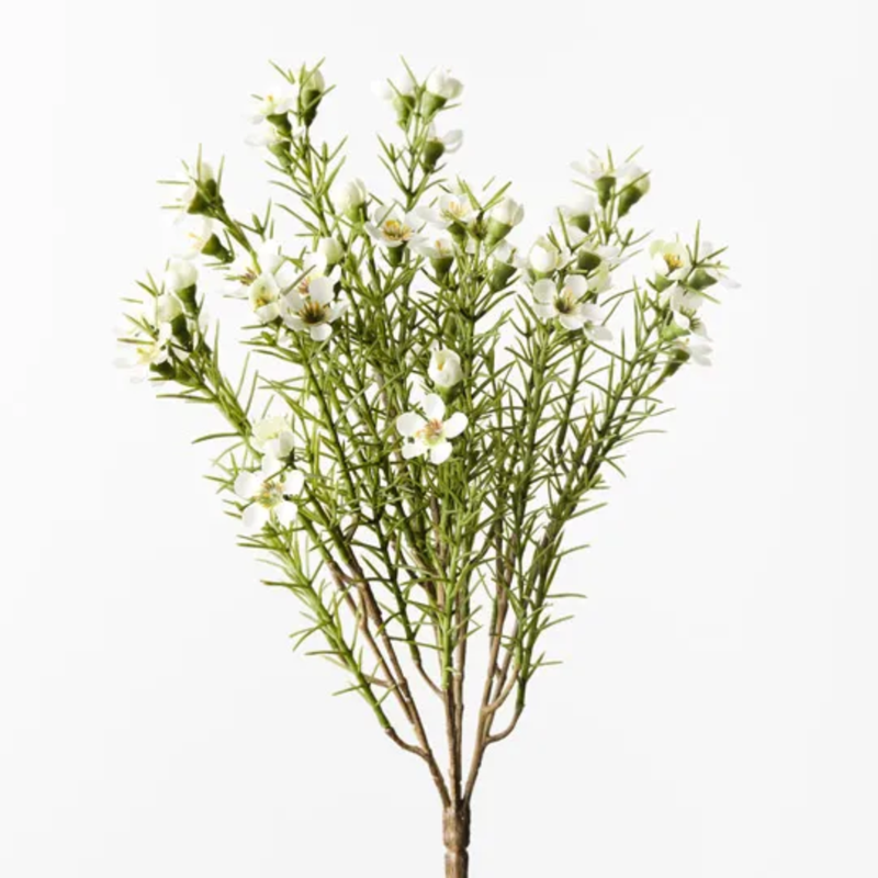 Wax Flower Bush 33cm / White