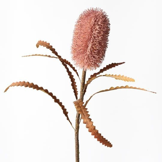 Banksia Serrata 58cm / Dusty Pink