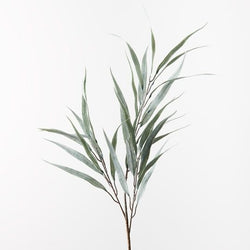 Eucalyptus Long Leaf Spray 78cm / Grey Green