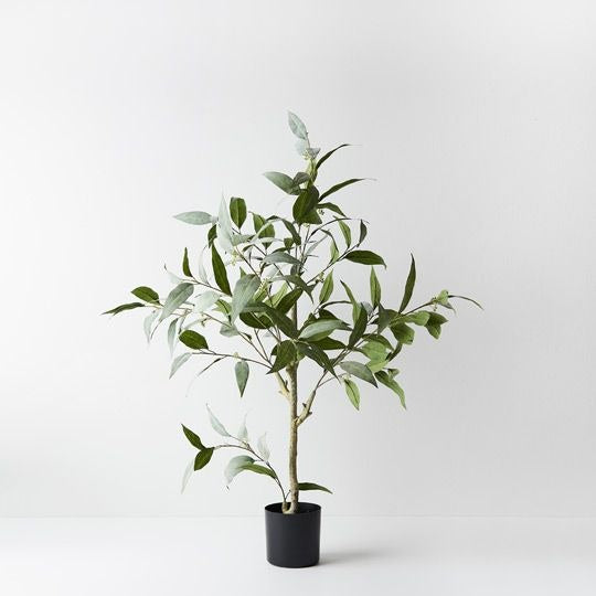 Eucalyptus Tree 90cm / Grey Green