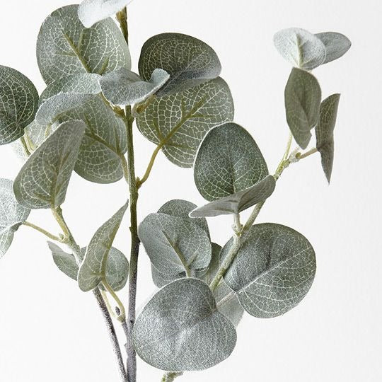 Eucalyptus Spray 71cm / Grey Green