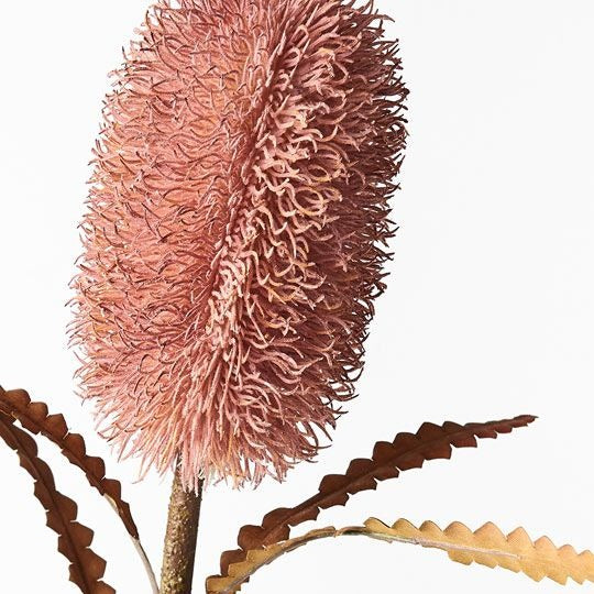 Banksia Serrata 58cm / Dusty Pink