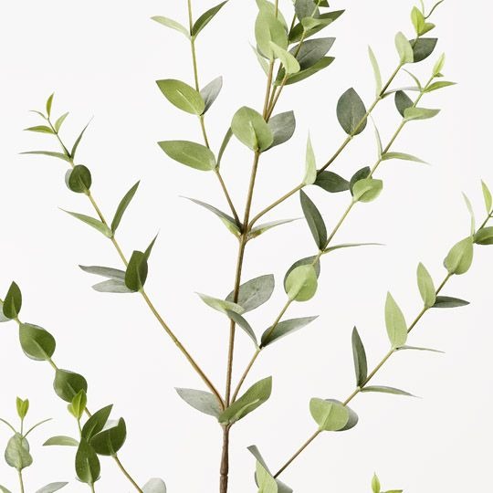 Eucalyptus Mini Leaf Spray 137cm / Grey Green