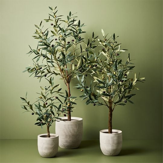 Eucalyptus Tree 90cm / Grey Green