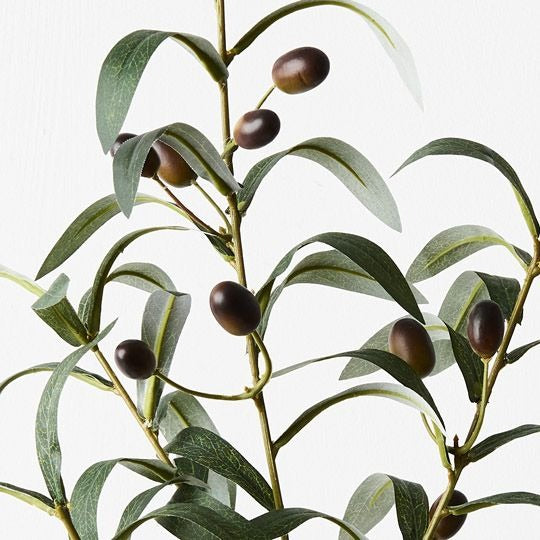 Olive Leaf Spray 72cm / Green