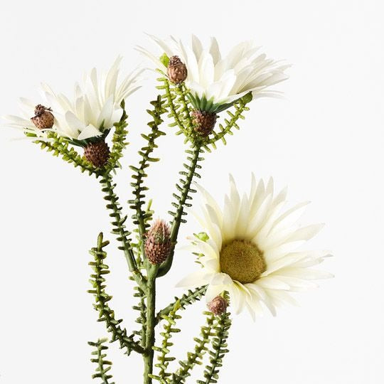 Kaaps Flower Spray 61cm / White