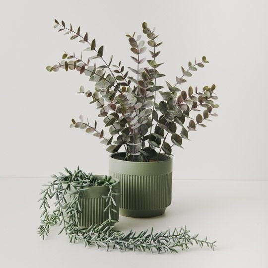 Eucalyptus Bush Pot 53cm / Grey