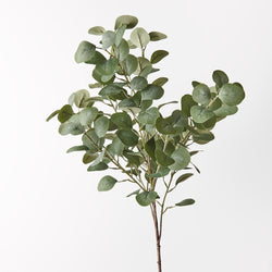 Eucalyptus Spray 82cm / Green