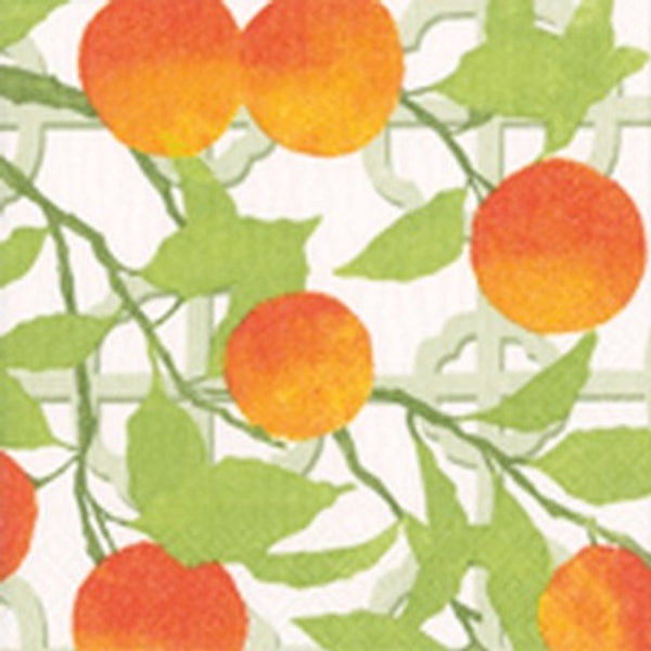 Lunch Napkins / Orange Grove