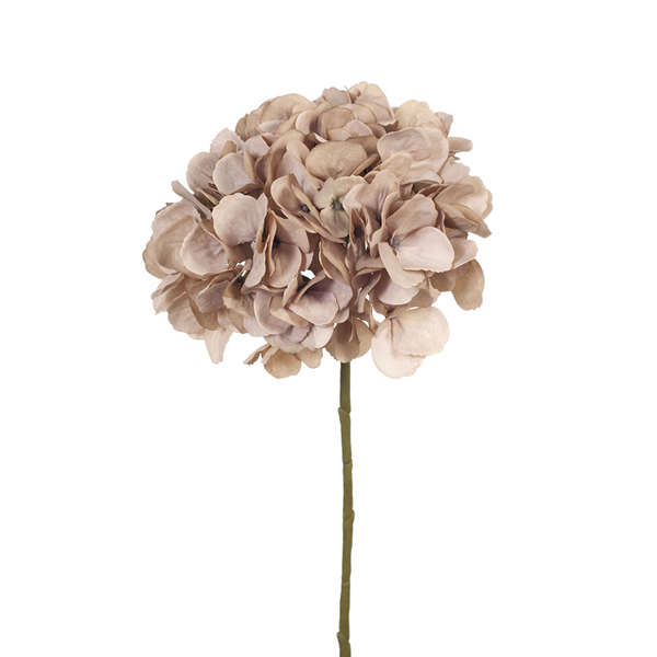 Hydrangea w/o Leaf Antique Pink 46cml