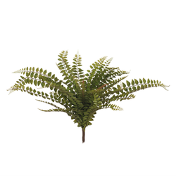 Jewel Fern Bush / Green 55cml