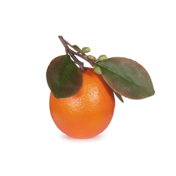 Fruit Orange