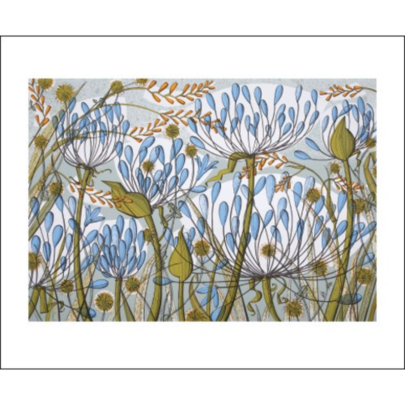 Angie Lewin / Agapanthus II Card