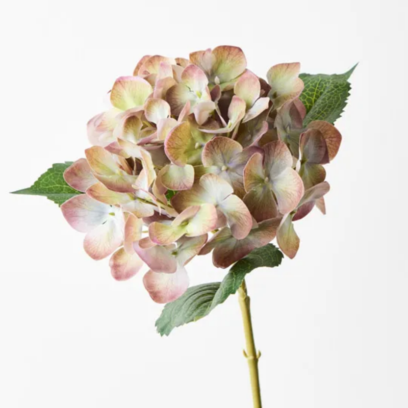 Hydrangea 63cm / Eggplant Green