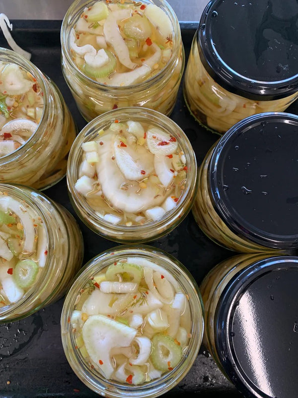 Pickled Fennel