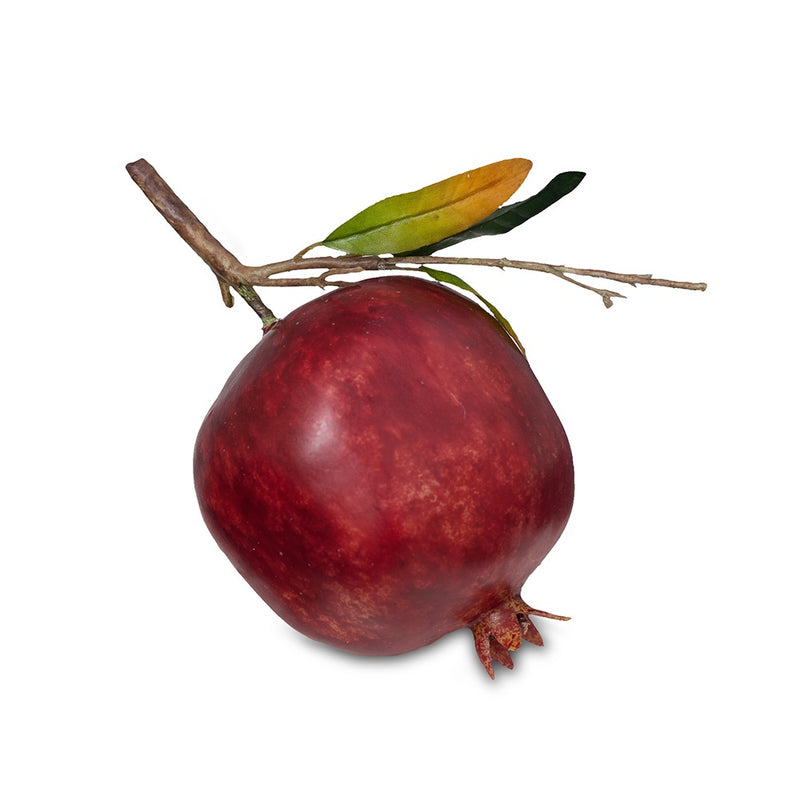 Fruit Pomegranate with Leaf