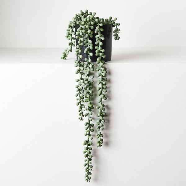 String of Pearls in Pot / Grey & Green 45cm