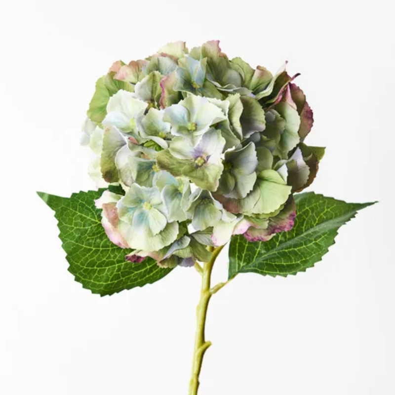 Hydrangea 52cm / Green Burgundy